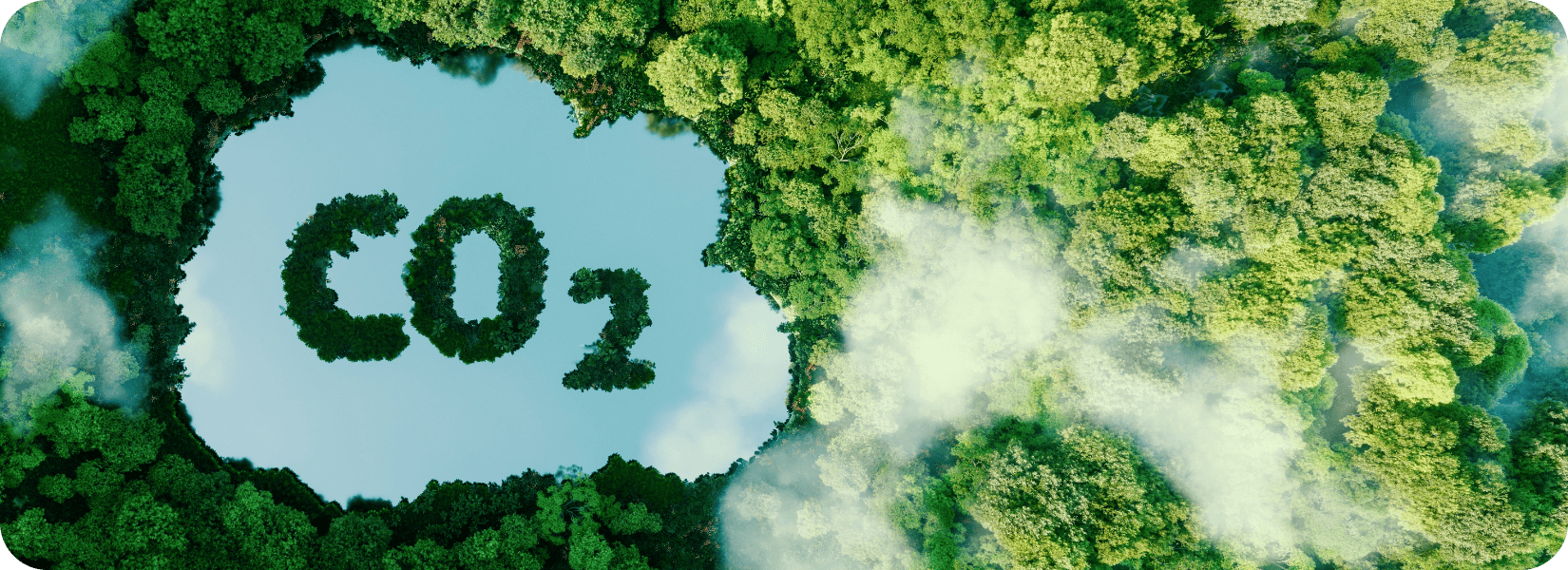 Carbon-Footprint-Monitoring