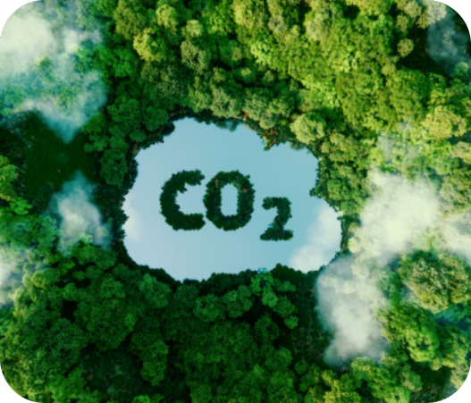 Carbon Footprint Monitoring for Facilities